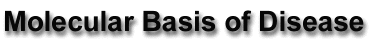 mbd.gif (5262 bytes)
